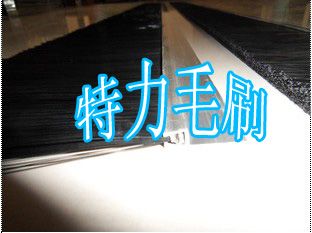 安庆特力毛刷